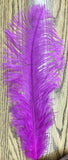 OSTRICHE PLUMES FEATHERS