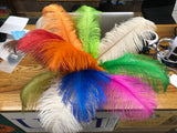 OSTRICHE PLUMES FEATHERS
