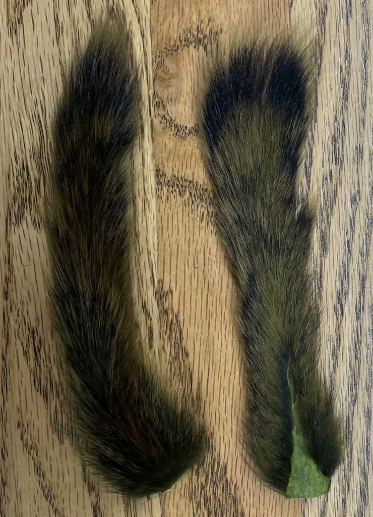 Pine Squirrel Tails (2 pack)